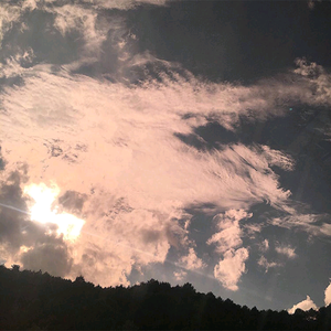 中国明星XXXⅩ性裸交
